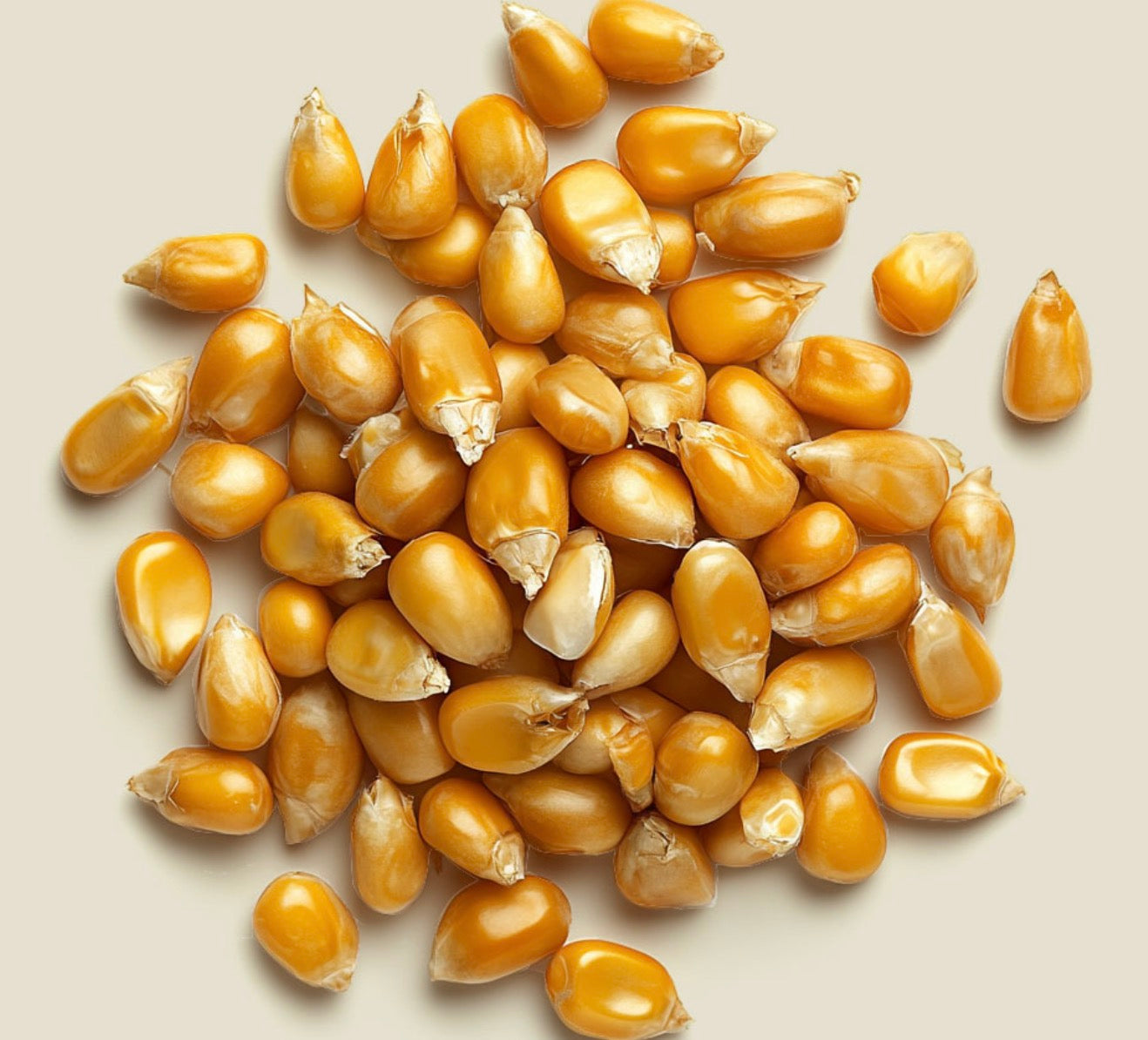 Maïs Doré | フランス産グルメポップコーン（神戸）